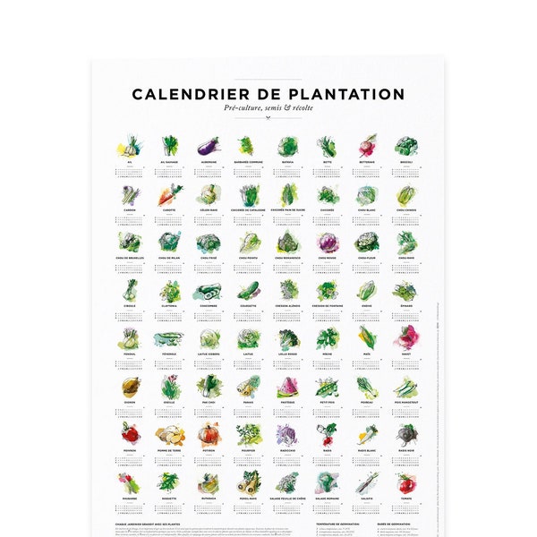 Calendrier des plantations et des semis pour le jardin au format 30x40cm, périodes de semis pour 64 légumes différents sous forme de poster