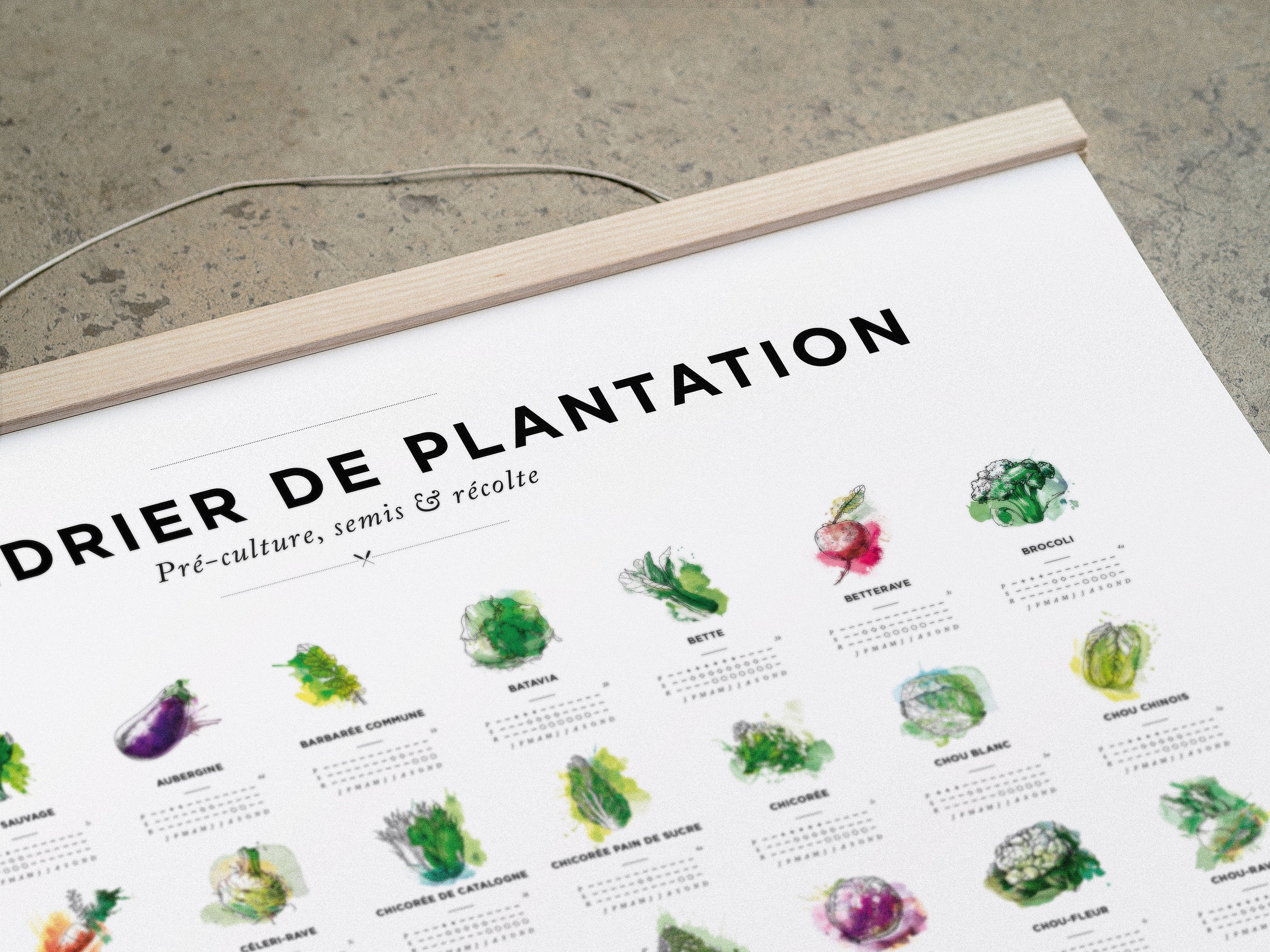 Calendrier Des Plantations Et Des Semis Pour Le Jardin Au Format calendrier-des-plantations-et-des-semis-pour-le-jardin-au-format