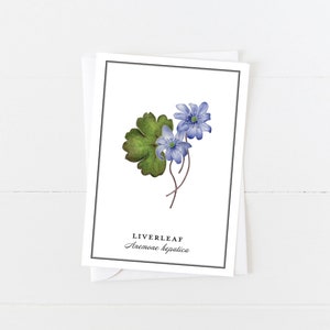 Carte Fleur alpine bleue