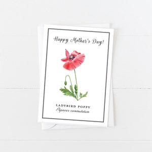 Carte d'anniversaire coquelicot