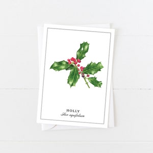 Holly Greeting Card