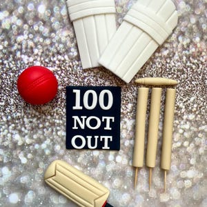 Cricket Cake Topper Edible Fondant Decoration Sports Bat Ball Wickets Not Out Bail Ashes Sporty Stump Umpire Sport