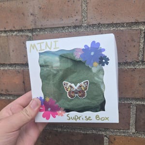 Mini Brands Suprise Mystery Bag or Box
