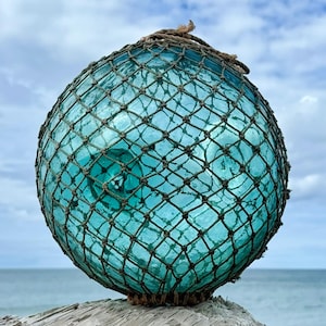 Op de afbeelding: Een grote, ronde, turquoise glazen vlotter, omhuld door een geknoopt net. Het rust op verweerd hout, met de zee en de lucht op de achtergrond. Een decoratief nautisch item.