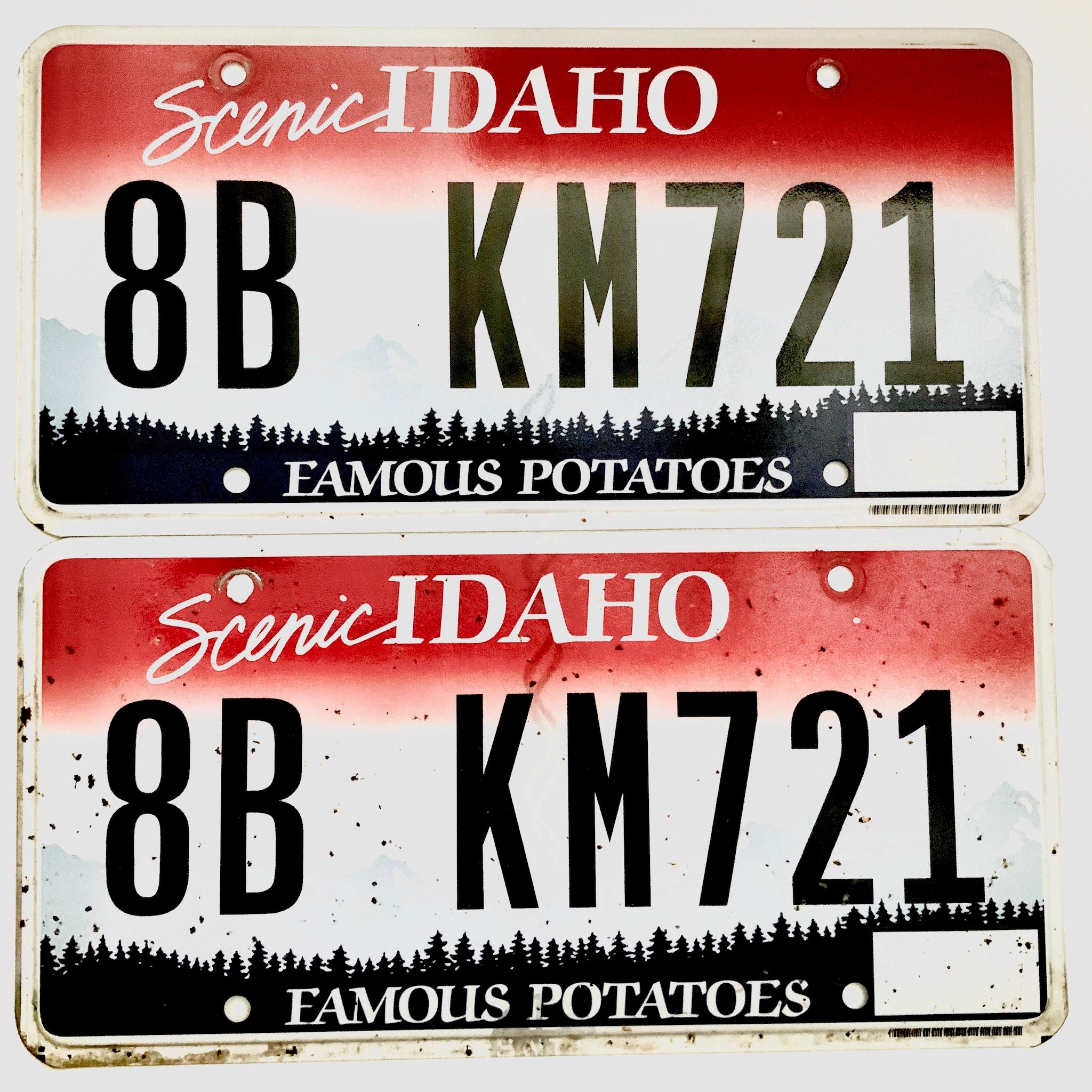 Untagged Idaho License Plate Pair KP739