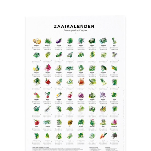 Plantkalender en zaaikalender voor de tuin, zaaitijden voor 64 verschillende soorten groenten als poster, 30x40cm