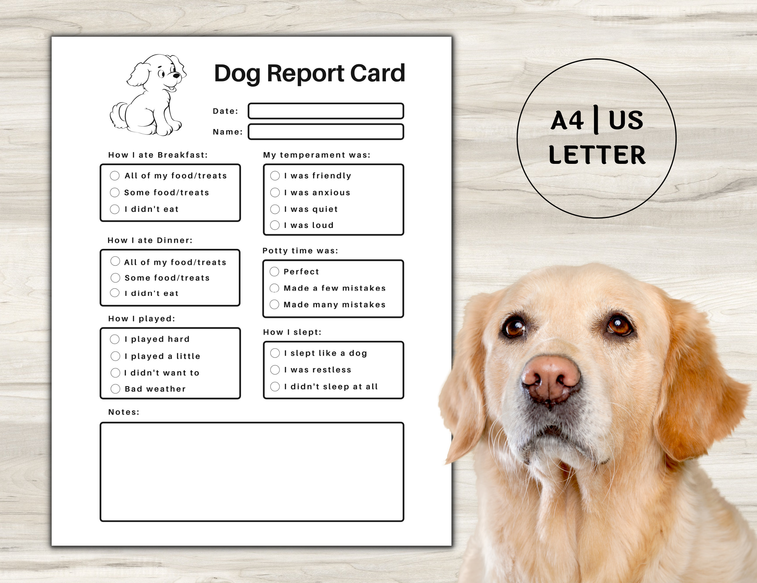 pet-report-card-printable-for-pet-sitter-business-dog-report-etsy