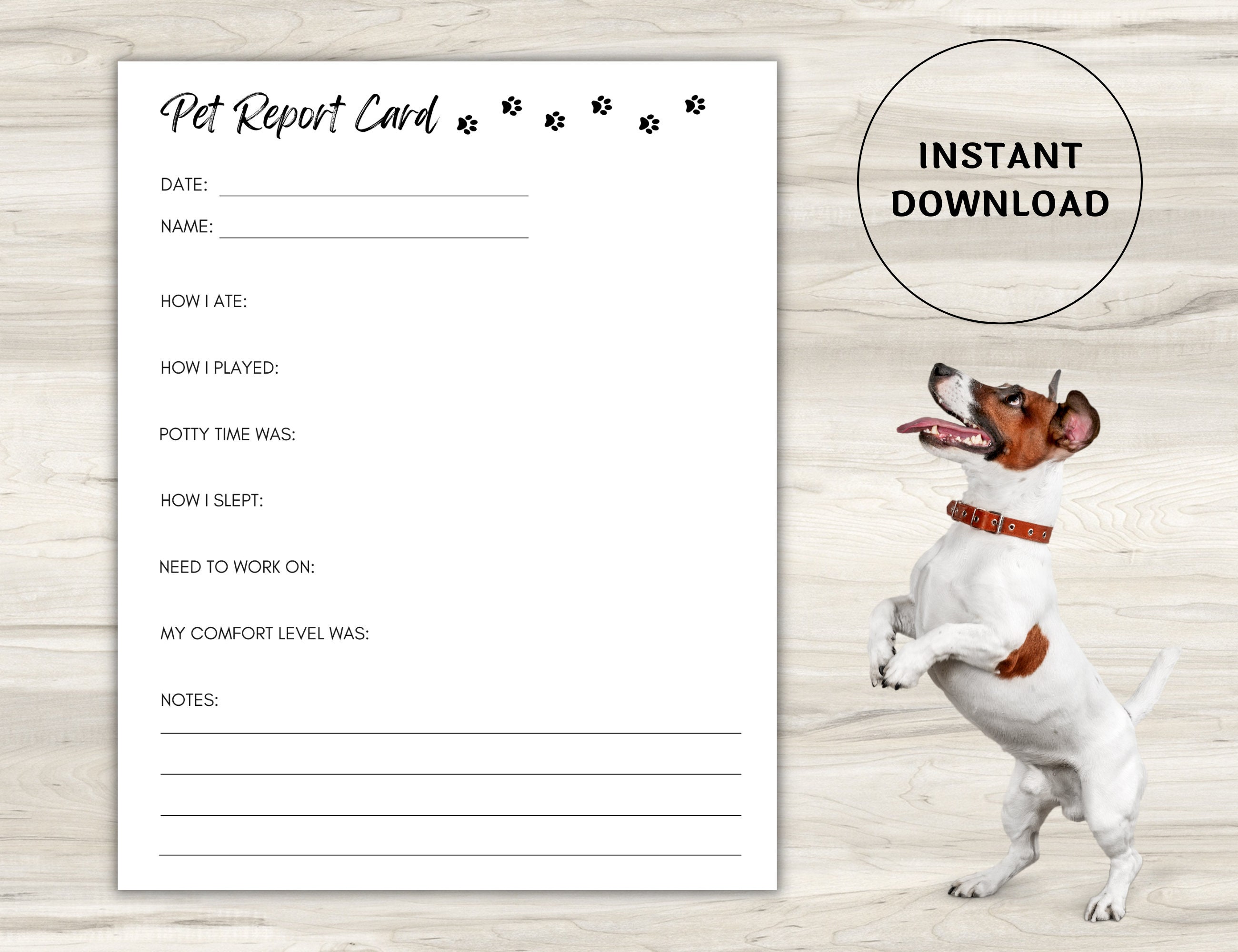 pet-report-card-printable-for-pet-sitter-business-dog-report-etsy