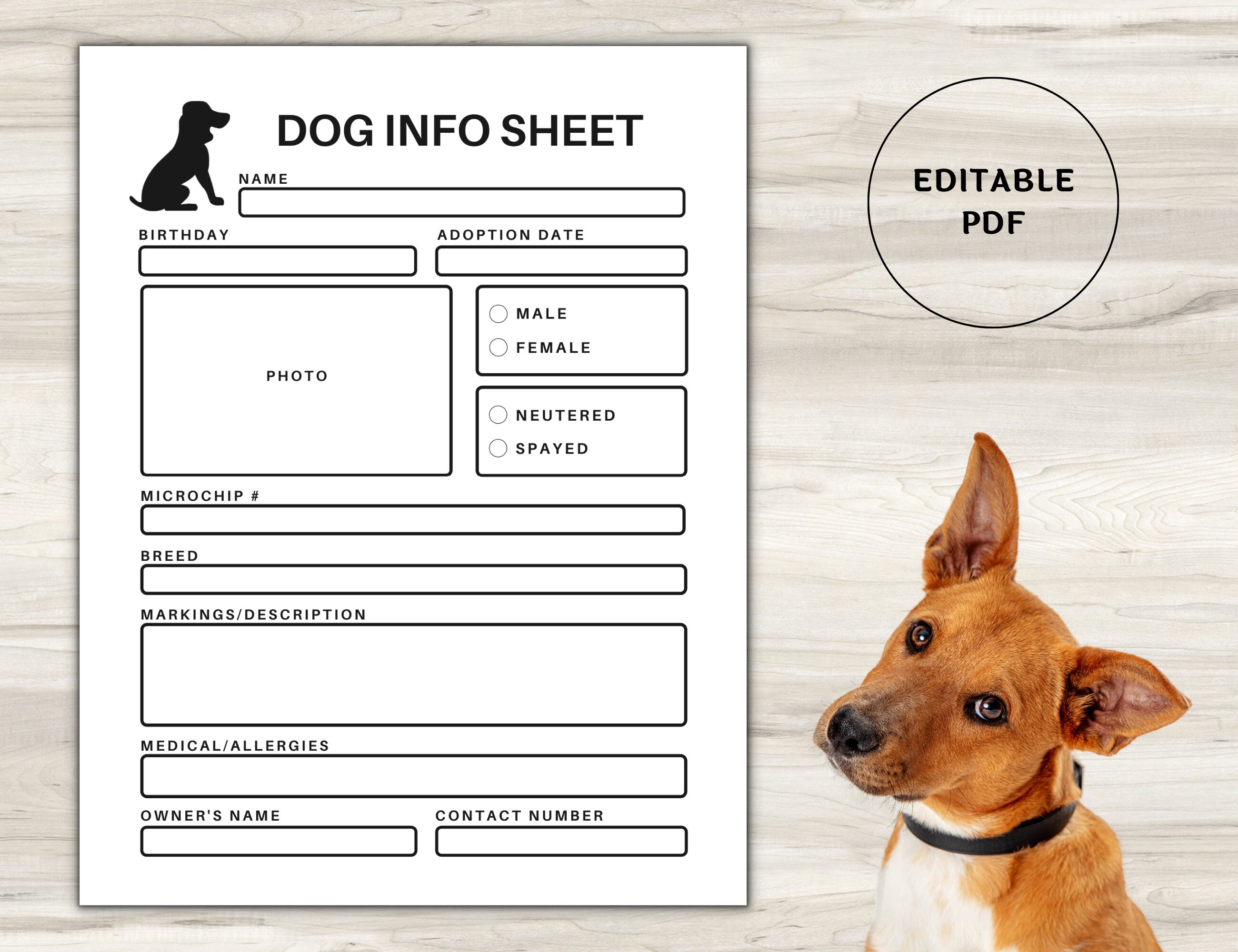 Pet Care Information Sheet Pet Planner Dog Care Sheet Dog Etsy