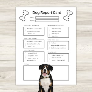 Tarjeta de informe de mascotas, formularios de cuidado de mascotas, tarjeta de informe de perros, tarjeta de informe de embarque de perros, tarjeta de informe de cuidado de perros, planificador de mascotas, formularios de negocios de mascotas