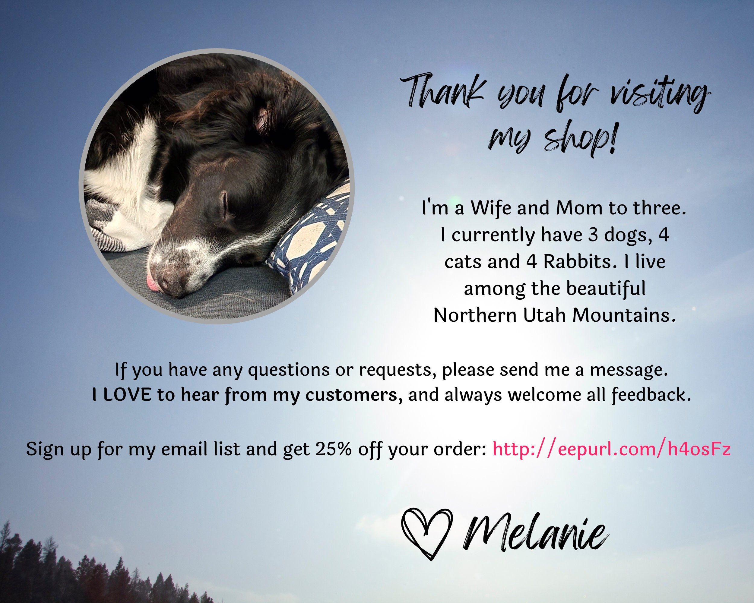 Pet Care Information Sheet, Pet Planner, Dog Care Sheet, Dog Care