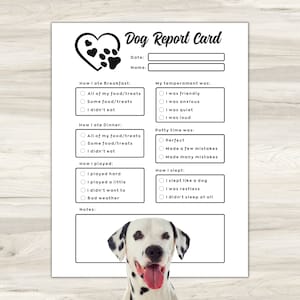 Boletim para animais de estimação, Boletim para cães, Relatório para babás de animais de estimação, Boletim para embarque de cães, Boletim para cuidados com cães, Planejador de animais de estimação, Formulários para sentar em animais de estimação