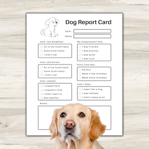Pet Report Card afdrukbaar voor Pet Sitter Business, Dog Report Card, Dog Boarding Report Card, Dog Care Report Card, Pet Planner, Pet Sitting