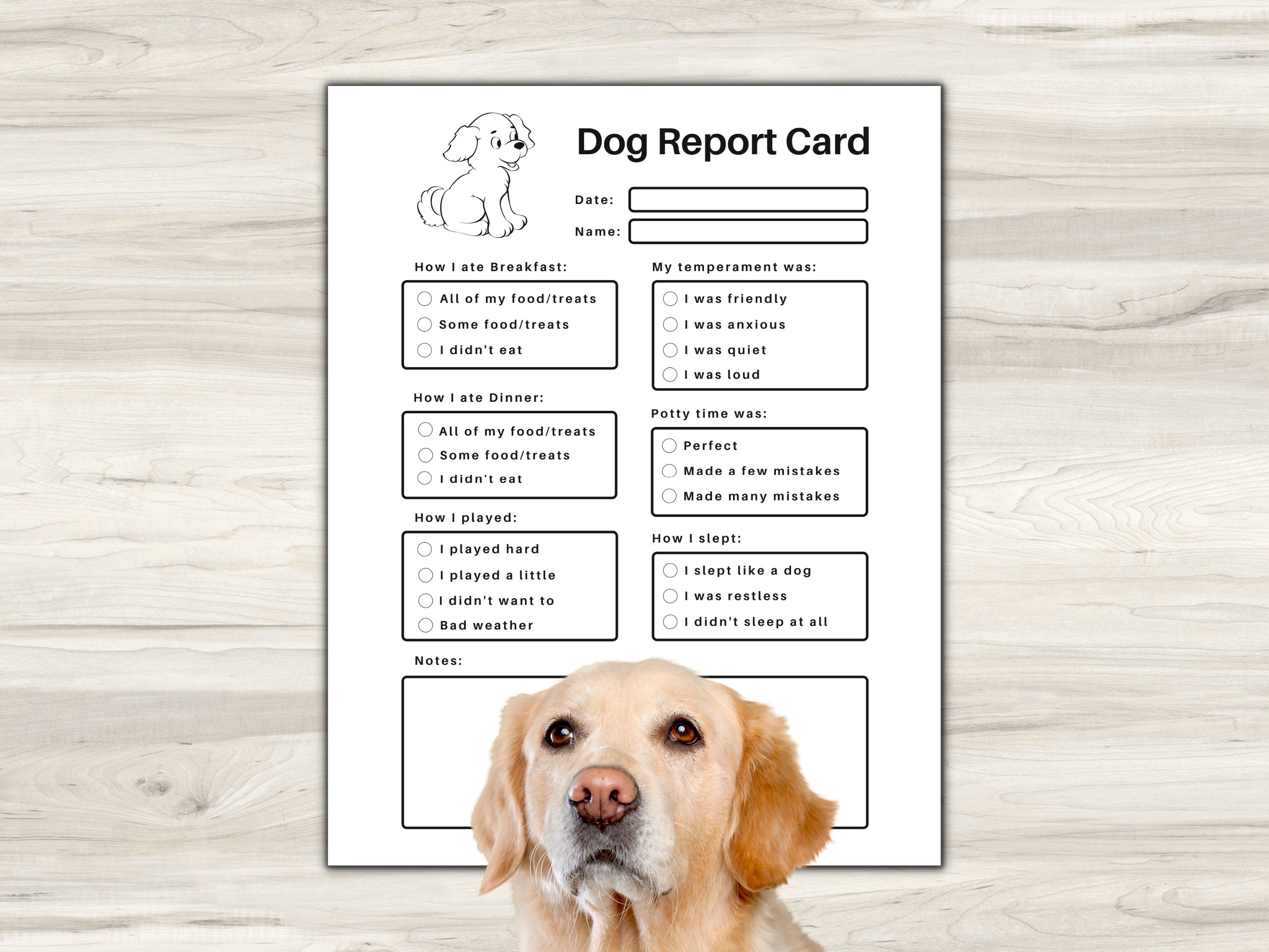 Pet Report Card Printable for Pet Sitter Business, Dog Report Card, Dog ...