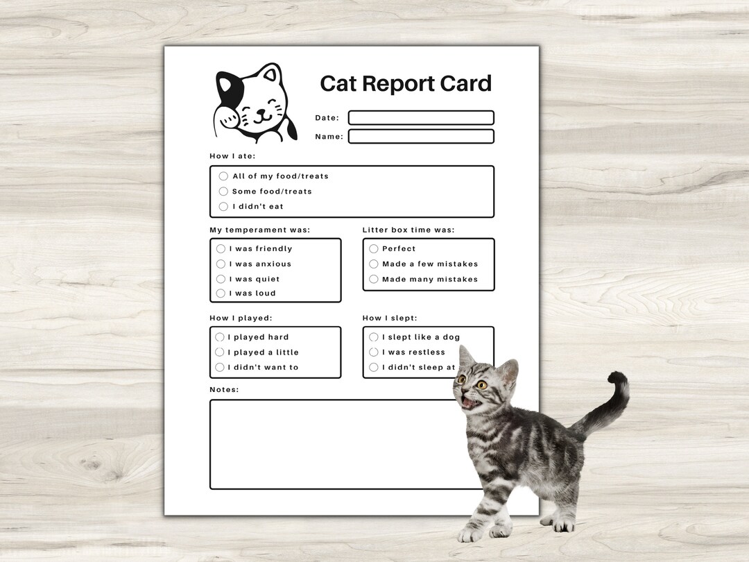 Pet Report Card Printable for Pet Sitter Business, Cat Report Card, Pet ...