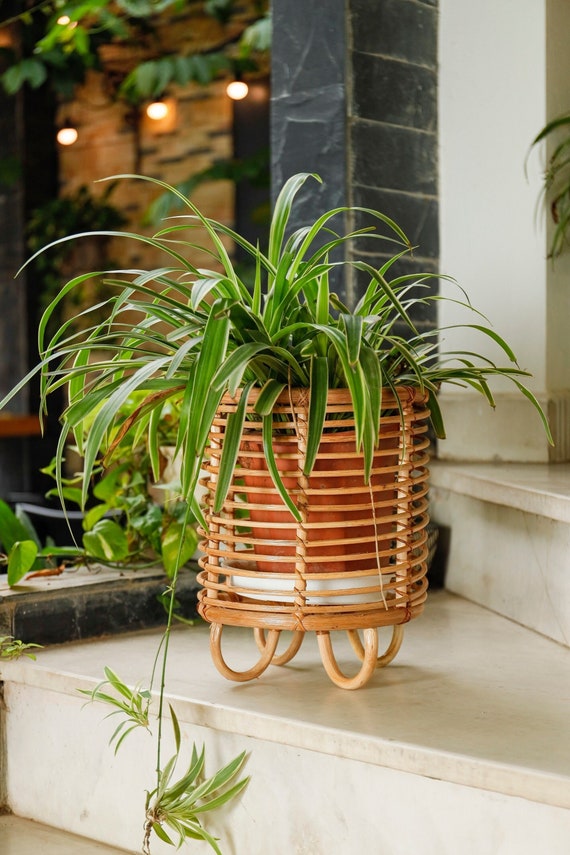 Rattan Plant Stand Natural Planter Brown Tree Planter Stand Etsy