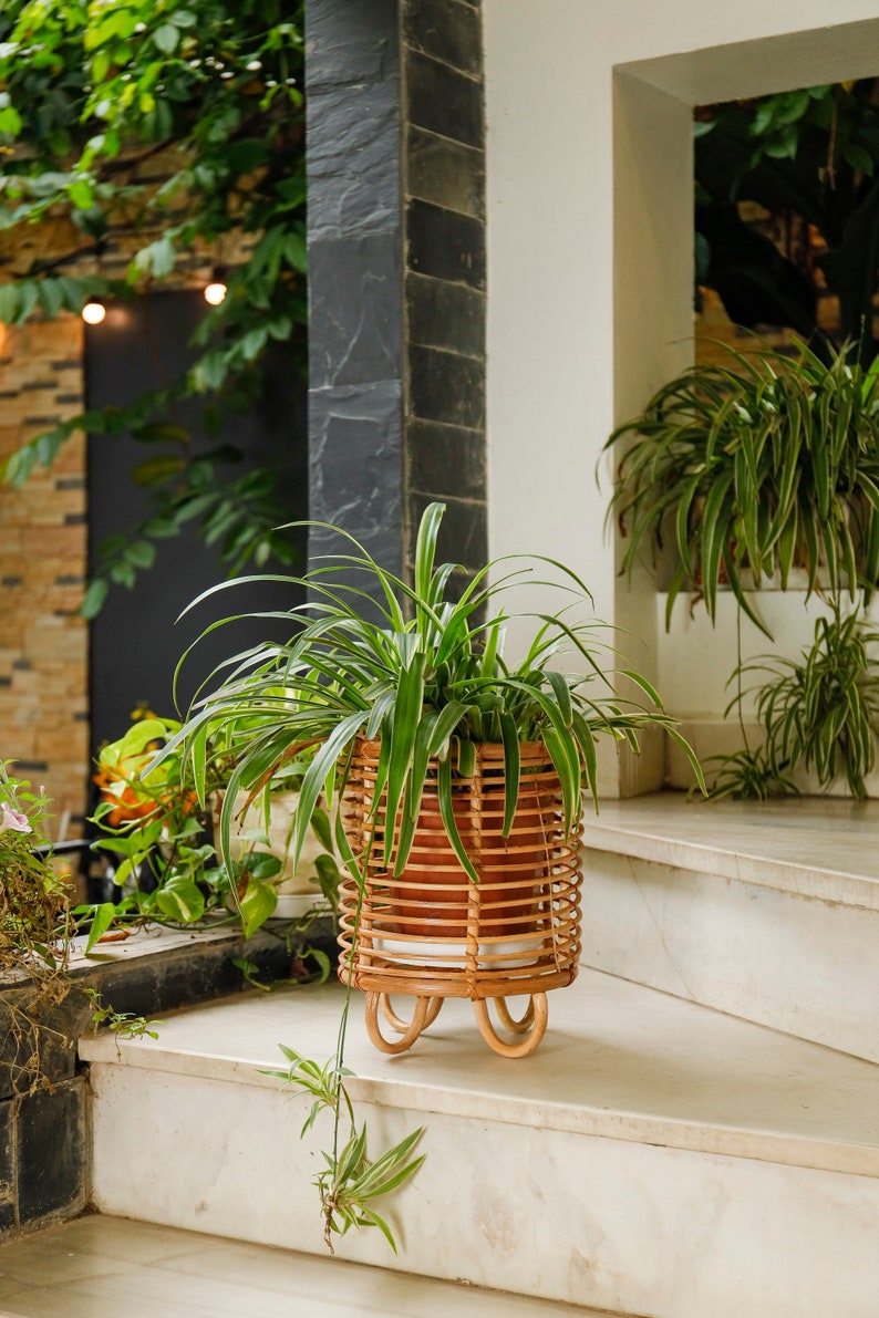 Rattan Plant Stand Natural Planter Brown Tree Planter Stand Etsy