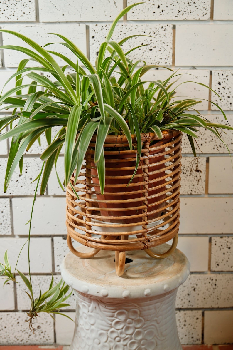 Rattan Plant Stand Natural Planter Brown Tree Planter Stand Etsy