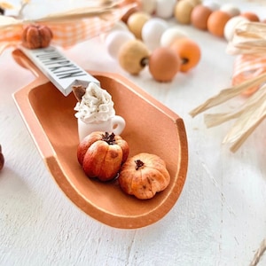May include: A small wooden scoop filled with miniature pumpkins and a white ceramic mug with whipped cream and a sprinkle of cinnamon. The scoop is on a white wooden surface.