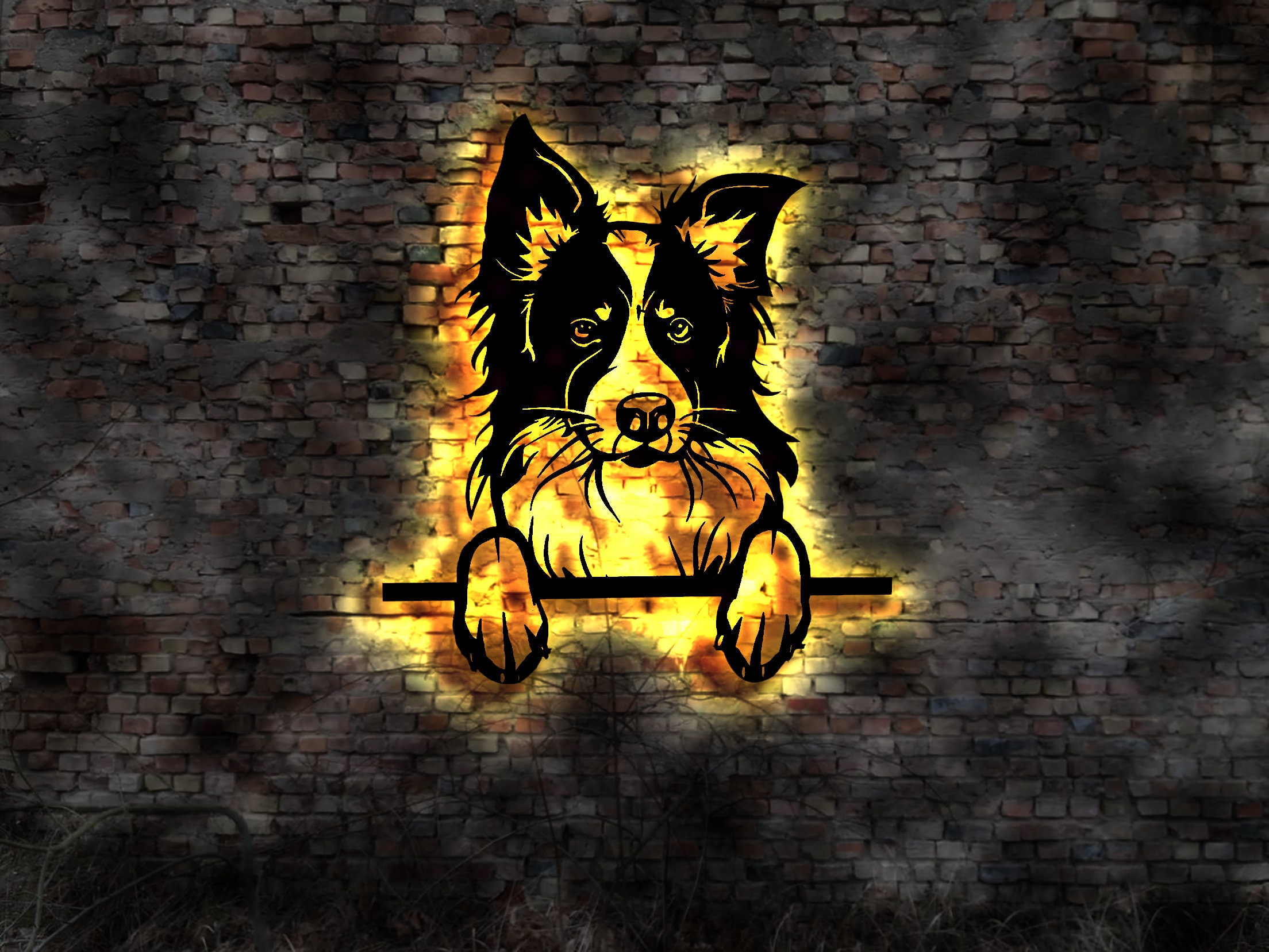 3D LED Border Collie  aus Holz Welpen Welpe Buch Hund Dog Zucht Züchter Geschirr Futternapf Leine Leckerlies Halsband Stoffhund Plüschtier
