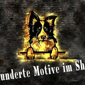May include: A black and white border collie dog silhouette with a yellow glow behind it. The dog is looking at the viewer and has its paws on a ledge. The text "Hunderte Motive im Shop" is below the dog.