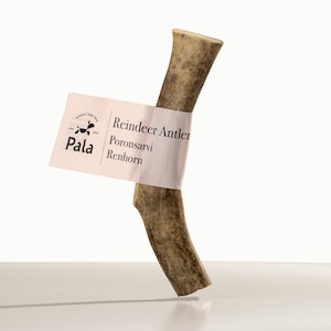 Antler dog chew, Reindeer antlers S size (18cm, 40-70g) 100% natural, deer antler, threat natural teeth cleaning, organic horn, dental bone