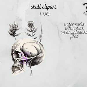 schedel planter png, schedel plant clipart, gotische clipart, zwart-witte schedel, schedel sublimatie, donkere schoonheid clipart, zwart-witte schedel