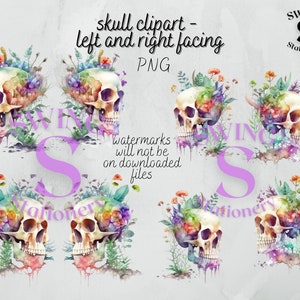 Schedel png, schedel clipart, schedel planter sublimatie, gotische schedel illustraties, donkere schoonheid clipart, spookachtige cottagecore png, aquarel schedel