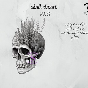 Schädel Pflanzer png, Schädel Pflanze Clipart, gothic Clipart, schwarz und weiß Schädel, Schädel Sublimation, dunkle Schönheit Clipart, schwarz und weiß Schädel