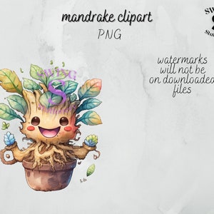 imágenes prediseñadas de mandrágora, lindo bebé mandrágora, sublimación de mandrágora, tobogán acuático de mandrágora, mandrágora kawaii, mandrágora chibi, mandrágora png