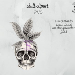schedel planter png, schedel plant clipart, gotische clipart, zwart-witte schedel, schedel sublimatie, donkere schoonheid clipart, zwart-witte schedel