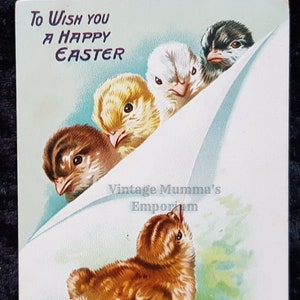Cartolina di Pasqua 1933 Tucks - Pulcini