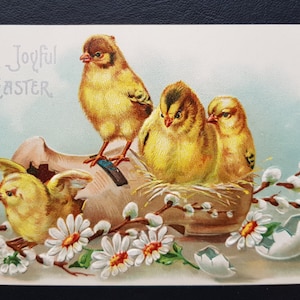 Cartolina di Pasqua del 1905 circa - Pulcini in rilievo con auguri dorati - International Art Publishing Co.