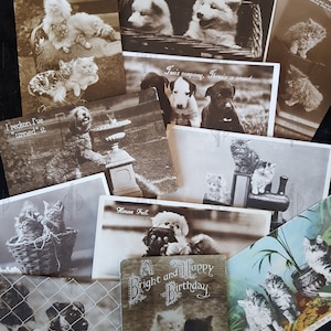 5 x cartoline/saluti vintage - tema cane/gatto - selezione casuale
