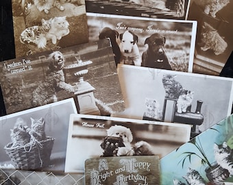 5 postales/felicitaciones antiguas: temática de perros y gatos (selección aleatoria)