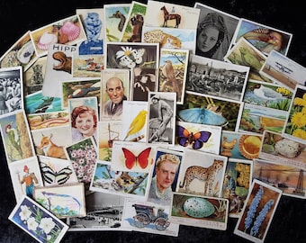 May include: A collection of vintage cigarette cards featuring various illustrations. The cards depict portraits, animals, landscapes, and flowers. Some cards have the text "Player's Cigarettes" and "Ogden's Cigarettes". The cards are arranged on a dark surface.