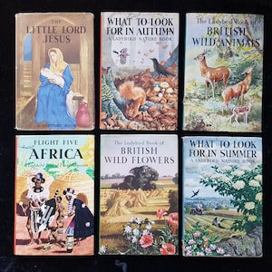 Vintage Ladybird Books (With DJs) - 1960s