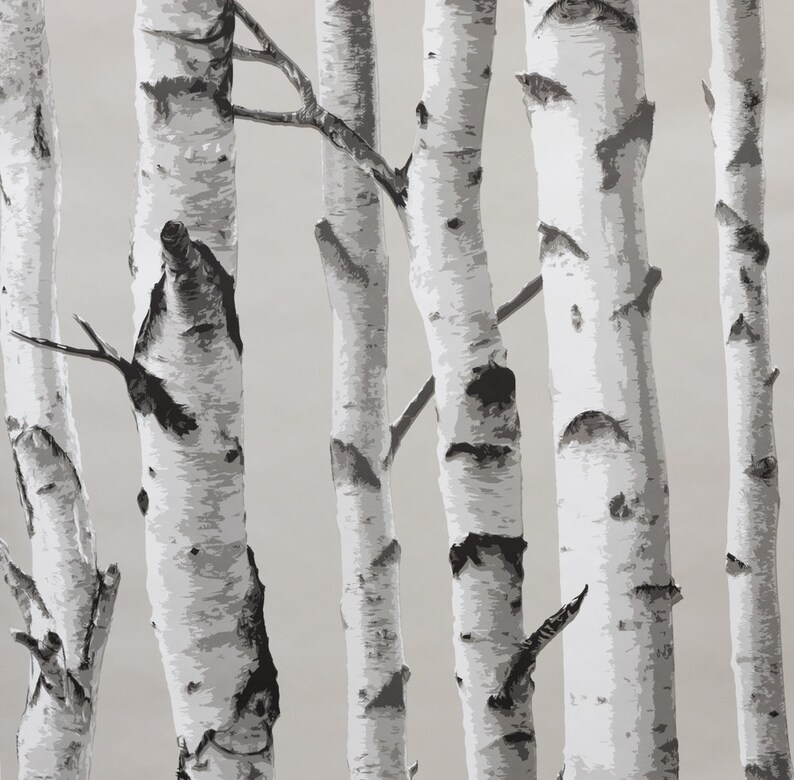 A4 SAMPLE Nu Wallpaper BIRCH TREE Peel & Stick Wallpaper Etsy UK
