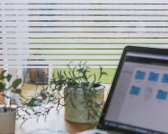 d-c-fix Clarity 45cm x 10m Static Cling Vinyl Window Film for Privacy and Décor