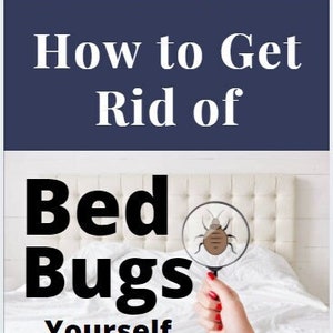 Hur man blir av med vägglöss själv