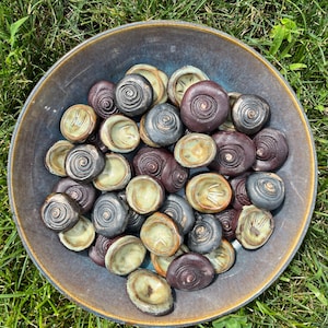 May include: A bowl filled with small, round, ceramic mushrooms in shades of brown, green, and black. The mushrooms have a swirl design on top.