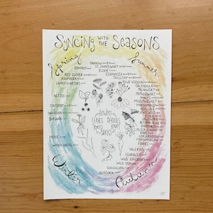 Op de afbeelding: Een aquarelillustratie van een cirkel die is verdeeld in vier secties die de vier seizoenen voorstellen. Elke sectie bevat een lijst met planten en hun delen die tijdens dat seizoen worden geoogst. In het midden van de cirkel staan de woorden "Bloemen, Bladeren, Bessen, Wortels, Wortels, Schors".