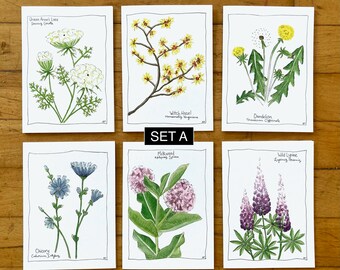 SET OF 6- Botanical Watercolor Blank Greeting Cards (A6)