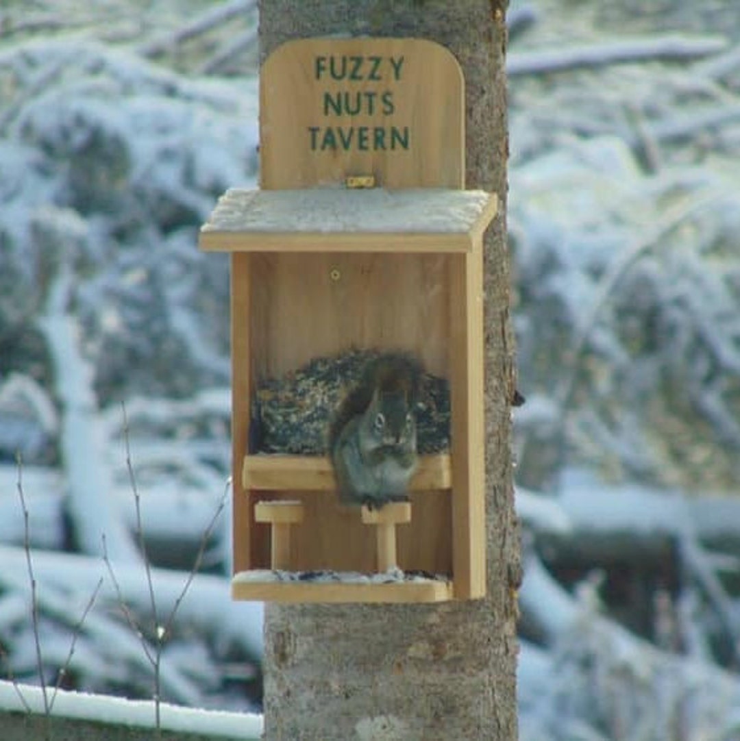 Personalized Squirrels Bar Etsy