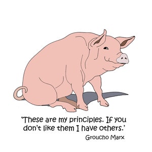 Varken blanco kaart, grappige varkenskaart, kaart voor varkensboer