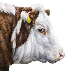 Blanco kaart met Hereford-koe, kaart voor boeren, koekaart, verjaardagskaart van boeren