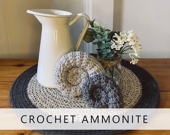 Handmade Crochet Ammonite Shell Fossil Home Decor