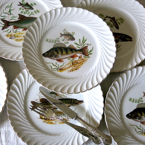 6 assiettes plates décor poisson