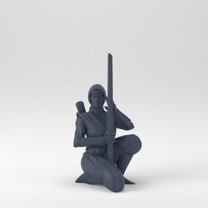 Shinobi / Ninja / Shinobi femmina / Umanoide / Medio / D&D / Pathfinder / TTRPG / 32 mm / Miniatura / YourNeighborKnight