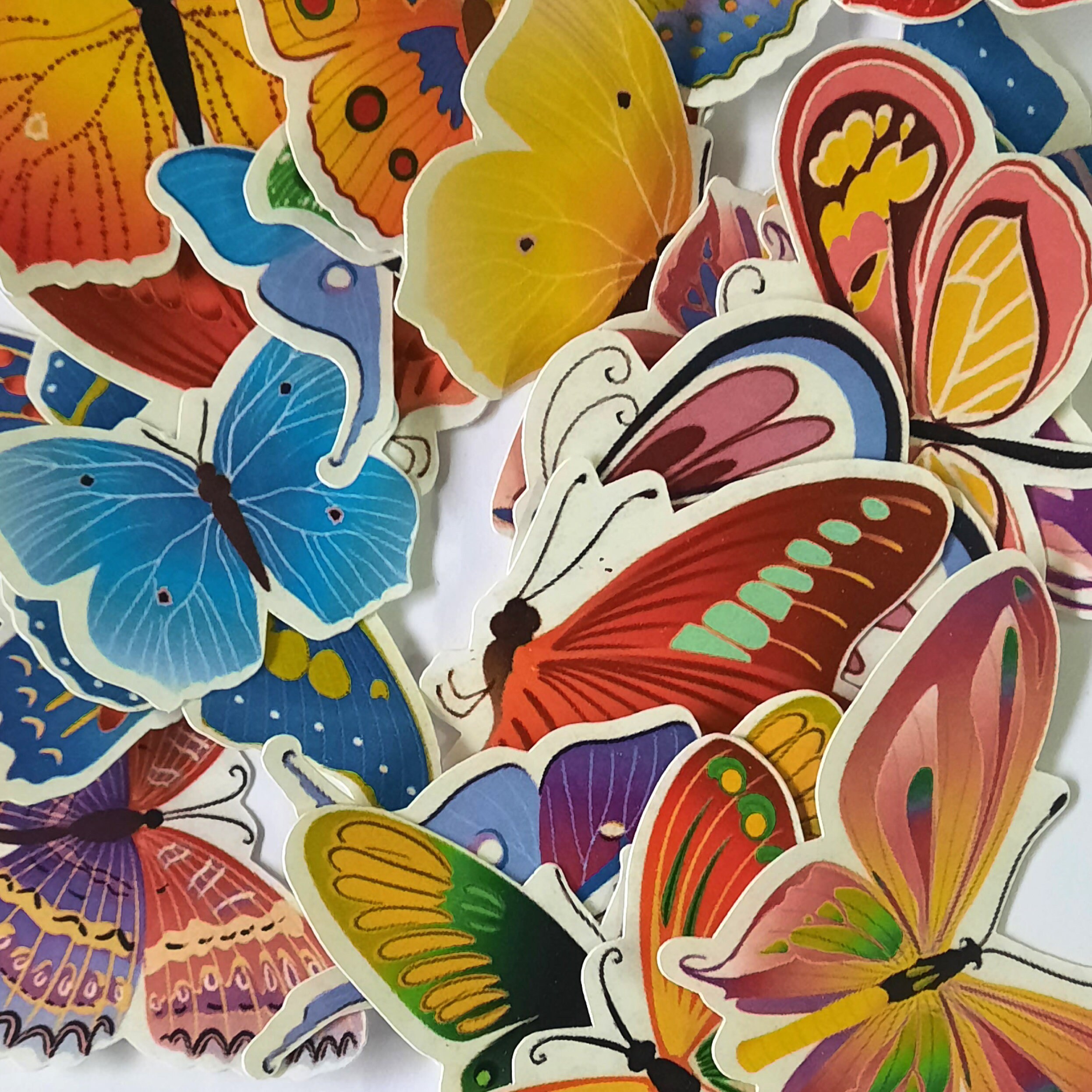 Large Butterfly Stickers Cute Colorful Assorted Colors Etsy